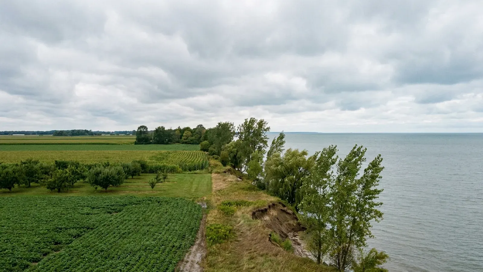Flat north-central Ohio farmland running to a low wooded bank on the Lake Erie shore, with the lake filling the horizon.